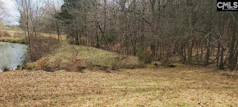 Tbd Willie Usher Road Lancaster SC 29720