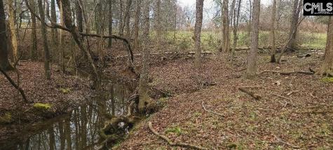 Tbd Willie Usher Road Lancaster SC 29720
