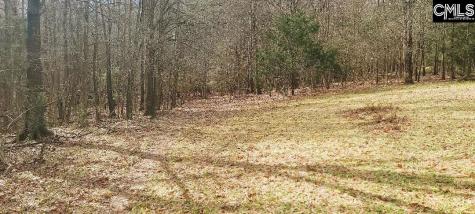 Tbd Willie Usher Road Lancaster SC 29720