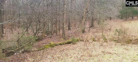 Tbd Willie Usher Road Lancaster SC 29720
