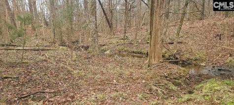 Tbd Willie Usher Road Lancaster SC 29720