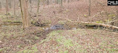 Tbd Willie Usher Road Lancaster SC 29720