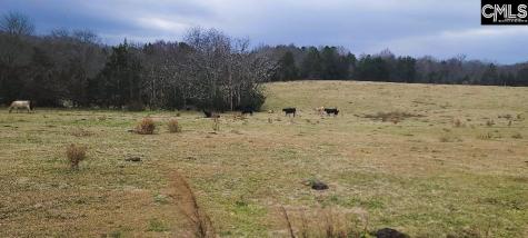 Tbd Willie Usher Road Lancaster SC 29720