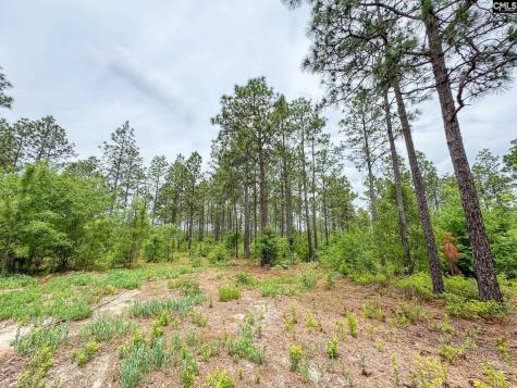 0 Neely Wingard Road Lot 9 Gilbert SC 29054