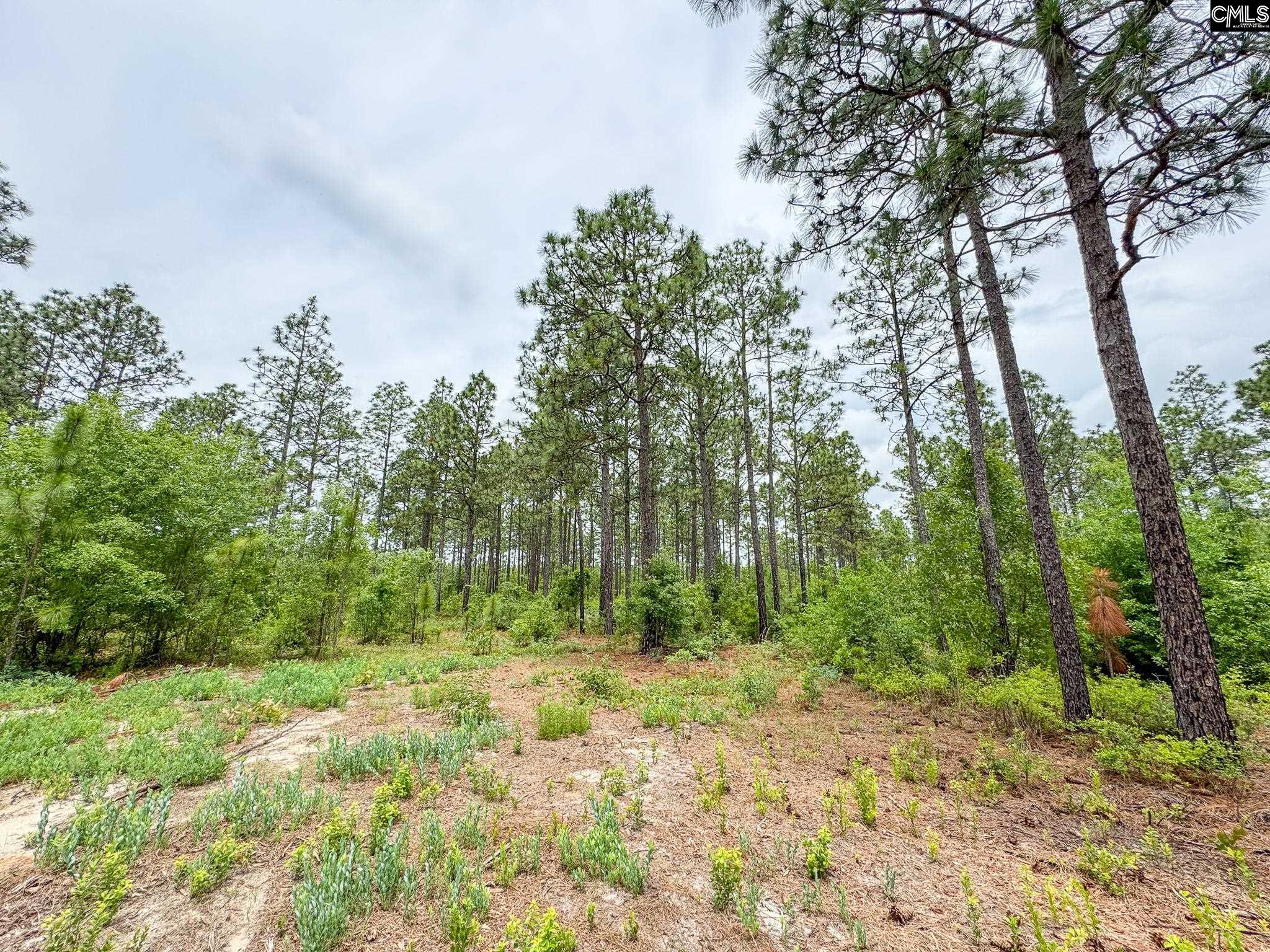 0 Neely Wingard Road Lot 9 Gilbert SC 29054