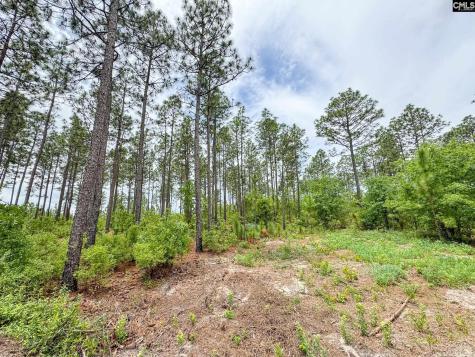0 Neely Wingard Road Lot 9 Gilbert SC 29054