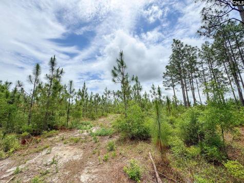 0 Neely Wingard Road Lot 9 Gilbert SC 29054