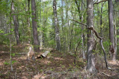 2120 Tickle Hill Road Camden SC 29020