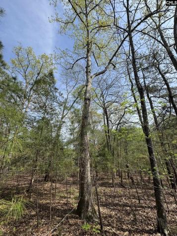 359 Holly Point Road Prosperity SC 29127