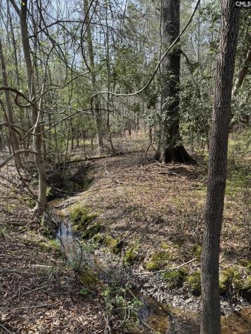 359 Holly Point Road Prosperity SC 29127