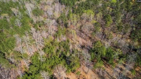 359 Holly Point Road Prosperity SC 29127