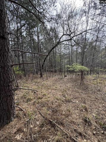 359 Holly Point Road Prosperity SC 29127
