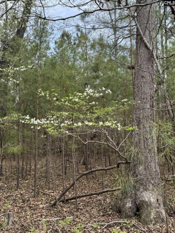 359 Holly Point Road Prosperity SC 29127