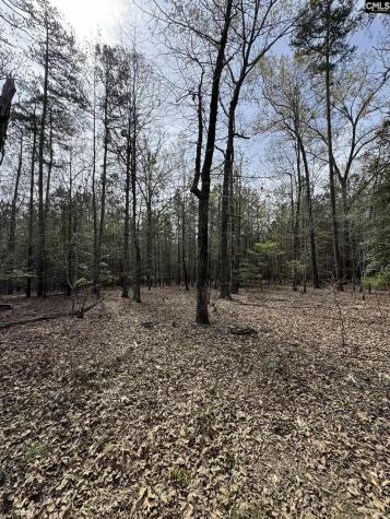359 Holly Point Road Prosperity SC 29127
