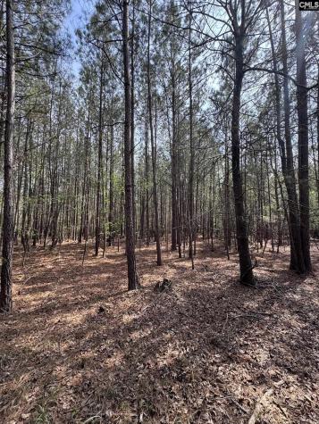 359 Holly Point Road Prosperity SC 29127