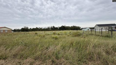 2308 Mount Olive Church Road Nichols SC 29581