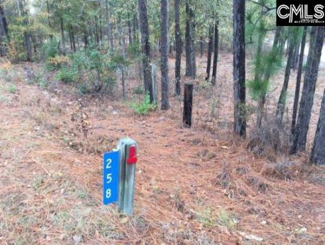 258 Sherwood Drive Lexington SC 29073