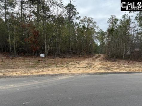 Lot 71 Phase 2 Anderson Farms Aiken SC 29803