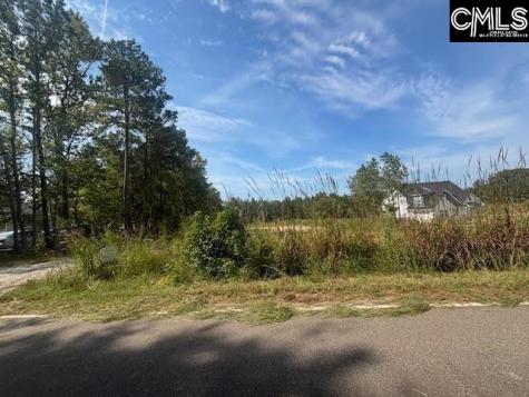 1615 Loner Road Blythewood SC 29016