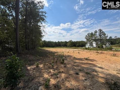 1615 Loner Road Blythewood SC 29016