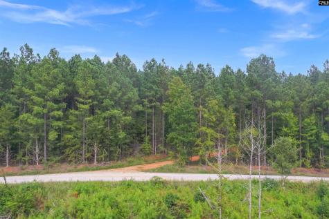 0000 Penner Road 10 Jenkinsville SC 29065