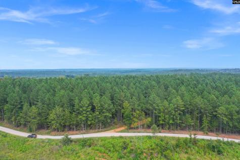 0000 Penner Road 10 Jenkinsville SC 29065