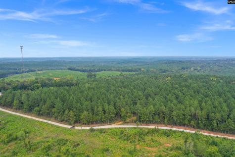 0000 Penner Road 10 Jenkinsville SC 29065