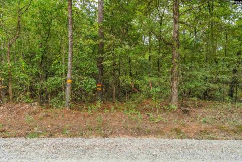 0000 Penner Road 10 Jenkinsville SC 29065