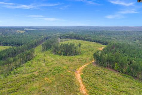 0000 Penner Road 10 Jenkinsville SC 29065