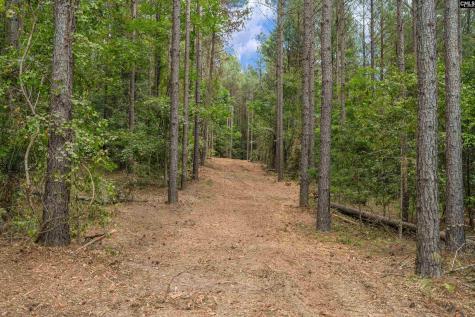 0000 Penner Road 10 Jenkinsville SC 29065
