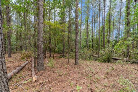 0000 Penner Road 10 Jenkinsville SC 29065