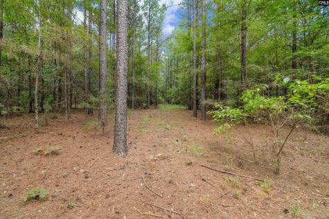 0000 Penner Road 10 Jenkinsville SC 29065