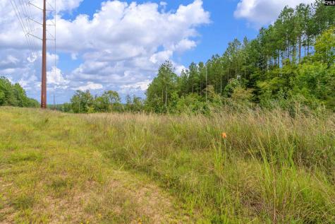 0000 Penner Road 10 Jenkinsville SC 29065