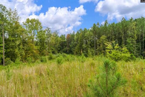 0000 Penner Road 10 Jenkinsville SC 29065