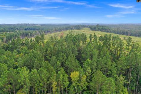 0000 Penner Road 10 Jenkinsville SC 29065