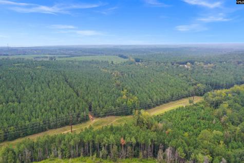 0000 Penner Road 10 Jenkinsville SC 29065