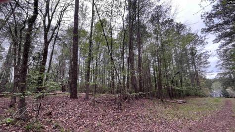 Lot 29 Belfast Court North Augusta SC 29860