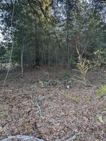 45 Fletcher Drive Kershaw SC 29067