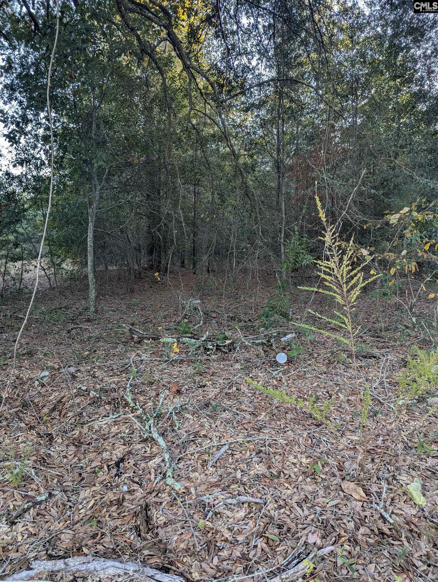 45 Fletcher Drive Kershaw SC 29067