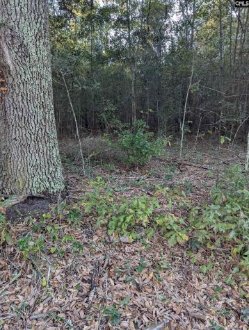 45 Fletcher Drive Kershaw SC 29067