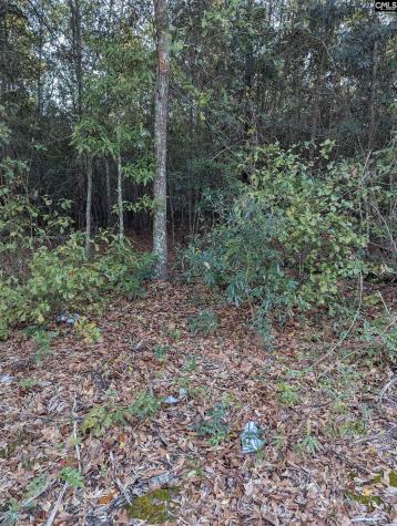 45 Fletcher Drive Kershaw SC 29067