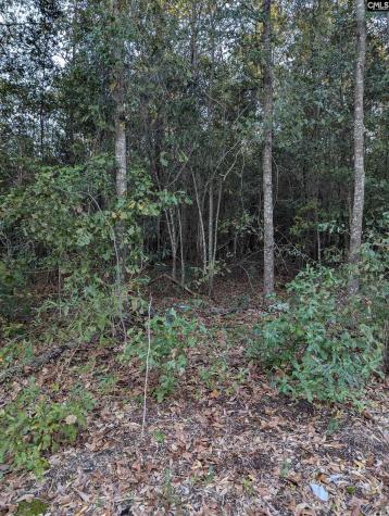 45 Fletcher Drive Kershaw SC 29067