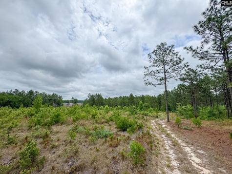 0 Neely Wingard Road Lot 5 Gilbert SC 29054