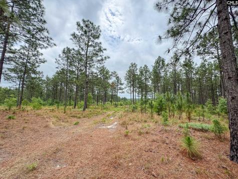 0 Neely Wingard Road Lot 5 Gilbert SC 29054
