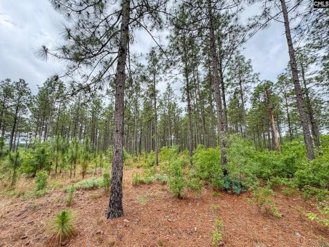 0 Neely Wingard Road Lot 5 Gilbert SC 29054