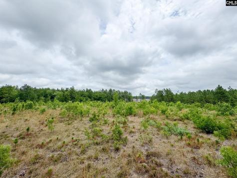 0 Neely Wingard Road Lot 5 Gilbert SC 29054