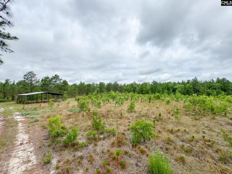 0 Neely Wingard Road Lot 5 Gilbert SC 29054