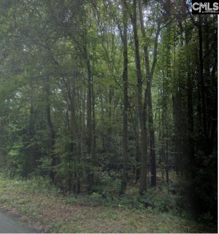 6 Acres Woodberry Lane North Augusta SC 29841
