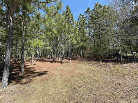 223 Mimosa Drive Gaston SC 29053