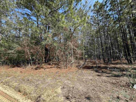 223 Mimosa Drive Gaston SC 29053